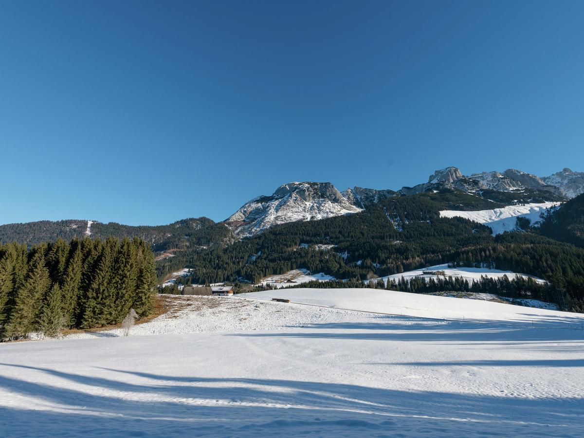 Chalet In Annaberg-Lungoetz With Shared Saunaヴィラ エクステリア 写真